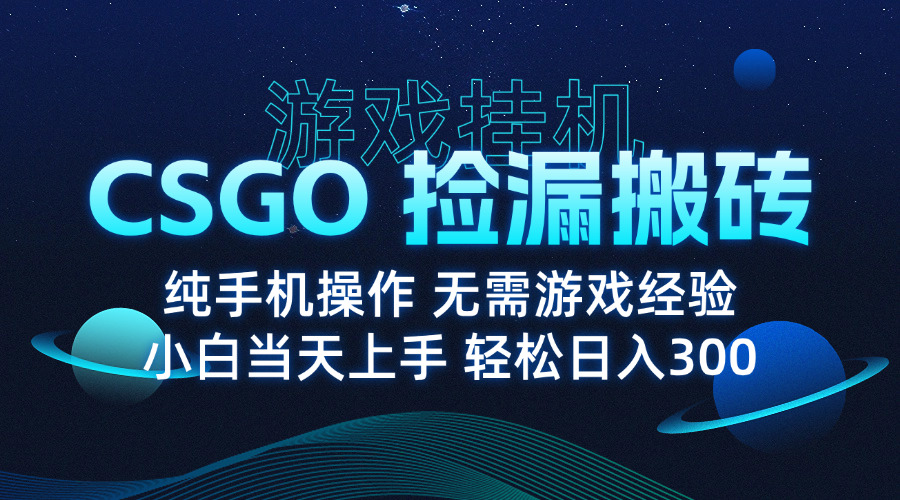 8月最新游戏搬砖，CSGO纯挂机，不需要玩游戏，实现真挂机，月入1W+-项目网