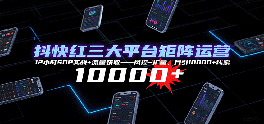 抖快红三大平台矩阵运营，12小时SOP实战+流量获取-风控-扩量，月引10000+线索-项目网