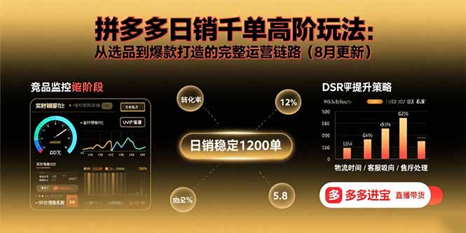 拼多多日销千单高阶玩法：从选品到爆款打造的完整运营链路(8月更新-项目网
