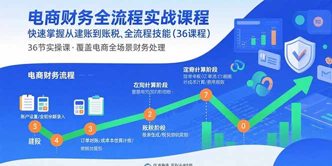 电商财务全流程实战课程：快速掌握从建账到报税的全流程技能(36节课-项目网
