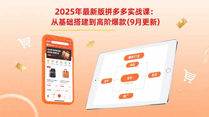 2025年最新版拼多多实战课：从基础搭建到高阶爆款(9月更新-项目网