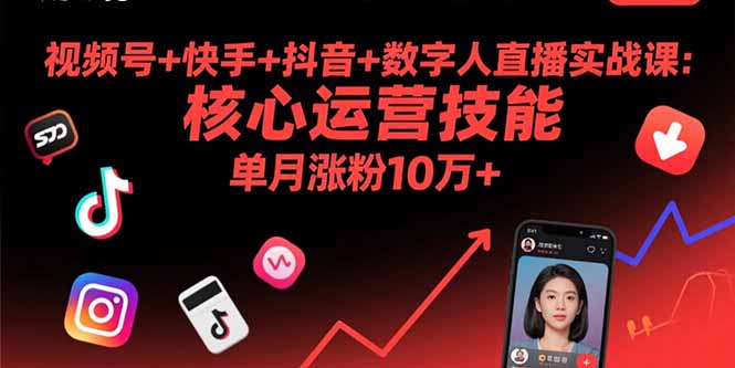 视频号+快手+抖音+数字人直播实战课(9月-项目网