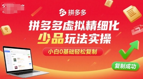 拼多多虚拟精细化少品玩法实操，小白0基础轻松复制-项目网