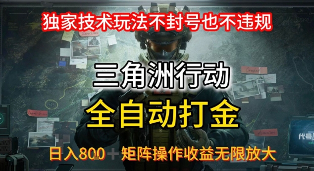 三角洲板砖揭秘项目免费送卡密-项目网