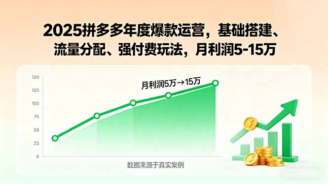 2025拼多多年度爆款运营，基础搭建、流量分配、强付费玩法，月利润5-15万-项目网