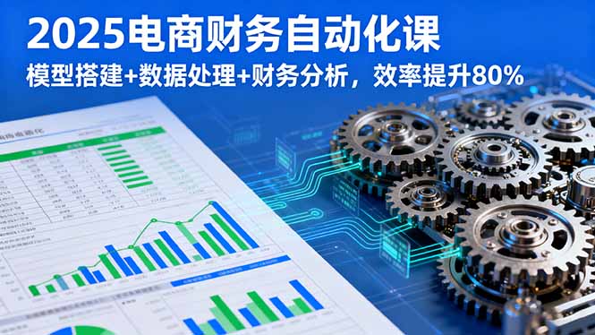 2025电商财务自动化课，模型搭建+数据处理+财务分析，效率提升80%-项目网