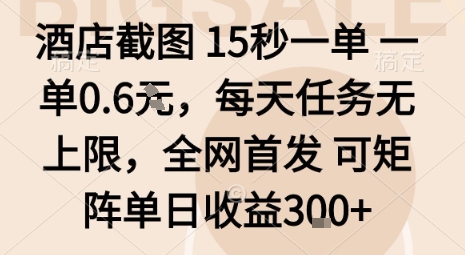 酒店截图15秒一单，一单0.6米，每天任务无上限，全网首发可矩阵单日收益3张【揭秘】-项目网