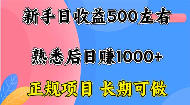 新手日收益500+ 正规项目 长期可做-项目网