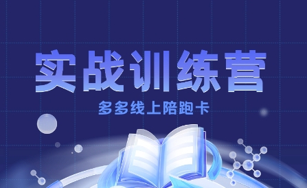 多多实战训练营，从0到1打造一个真正賺钱的店铺-项目网