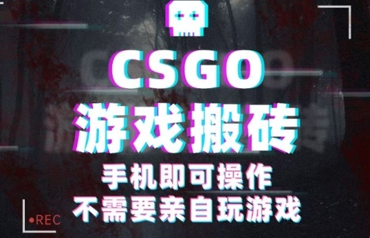 CSGO游戏挂G捡漏，单日扫货5张+，年底小高峰上车可吃肉，手机即可操作，兼职副业创业网创【揭秘】-项目网
