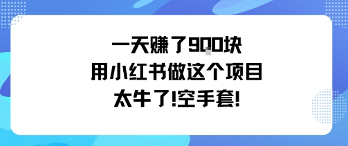 一天挣了9张用小红书做这个项目太牛了，空手套-项目网