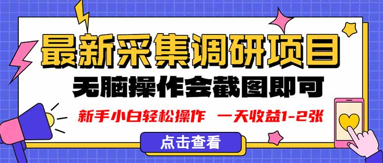 新版采集调研项目，截图上传即可，无脑操作，日收益1-2张-项目网