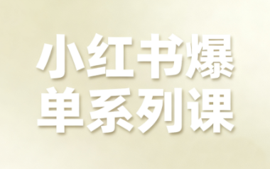 尼采老师·小红书爆单系列课-项目网
