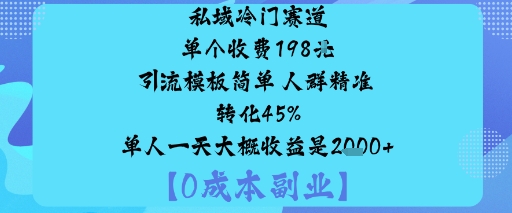 私域冷门赛道:单个收费198米引流模板简单人群精准转化45%单人一天大概收益是1k+-项目网
