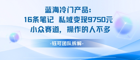蓝海项目：16条笔记私域变现9750米小众赛道操作的人不多-项目网