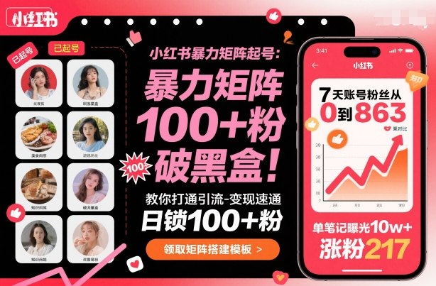小红书暴力矩阵起号，教你打通引流-变现速通，日锁100+粉，破流量黑盒-项目网