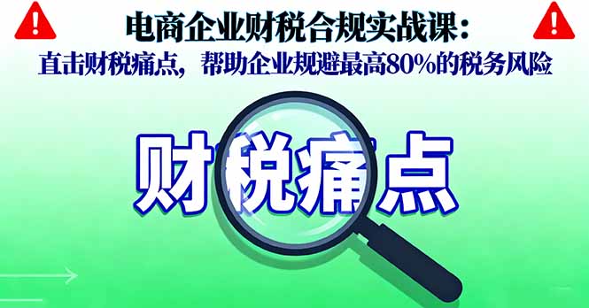电商企业财税合规实战课，直击财税痛点，帮助企业规避最高80%的税务风险-项目网