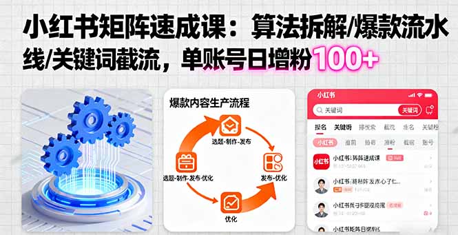 小红书矩阵起号速成课：算法拆解/爆款流水线/关键词截流 单账号日增粉100+-项目网