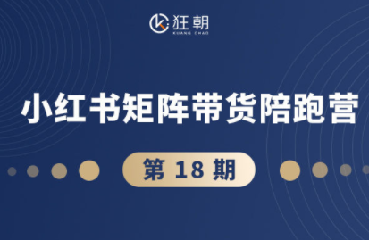 盗坤·抖音小红书视频号短视频带货与直播变现(11-18期)-项目网
