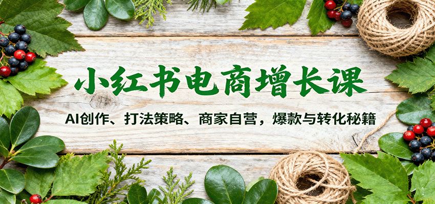 小红书电商增长课：AI创作、打法策略、商家自营，爆款与转化秘籍-项目网