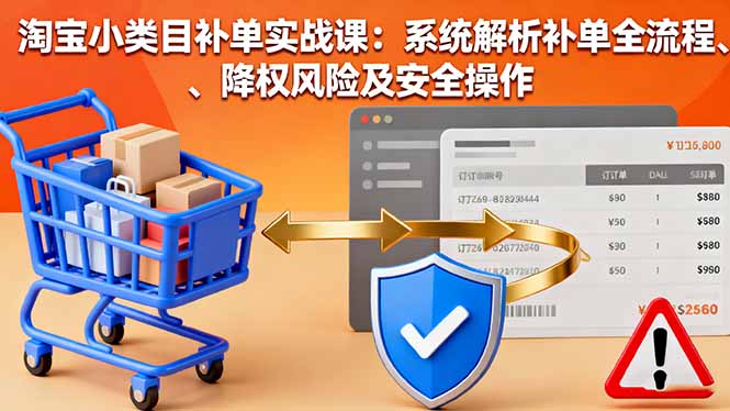 淘宝小类目补单实战课：系统解析补单全流程、降权风险及安全操作-项目网