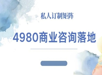 4980商业咨询师落地课程-ip运营高客单教程-项目网