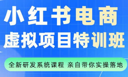 陆明明·小红书虚拟项目特训班(更新9月)-项目网