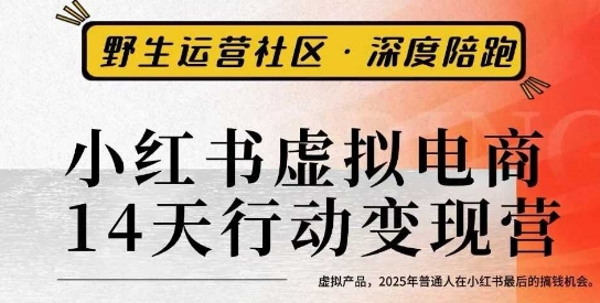 小红书虚拟电商14天变现训练营3.0，​虚拟产品，2025年普通人在小红书最后的搞钱机会-项目网