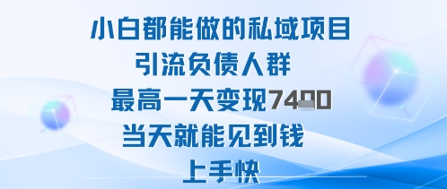 2025年小白都能做的私域项目引流负债人群最高一天变现1k+高变现难度低当天就能见到钱上手快-项目网