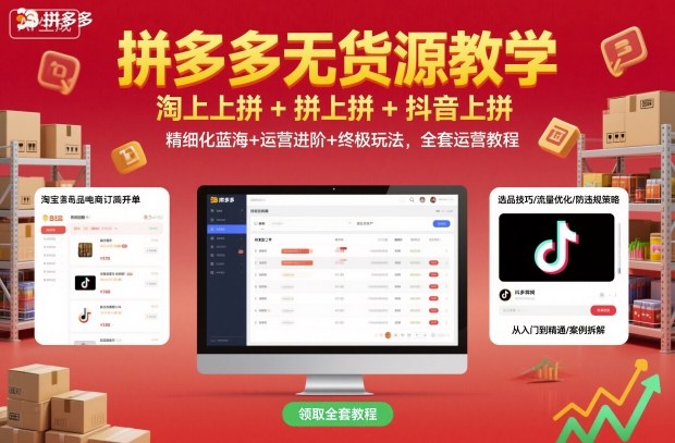 拼多多无货源教学，淘上拼+拼上拼+抖上拼，精细化蓝海+运营进阶+终极玩法，全套运营教程-项目网