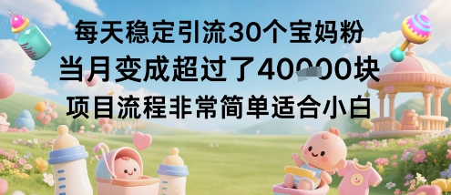 每天稳定引流30个宝妈粉当月变成超过了1W+项目流程非常简单适合小白-项目网