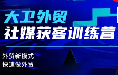 大卫老师·外贸社媒获客独家训练营(更新10月)-项目网