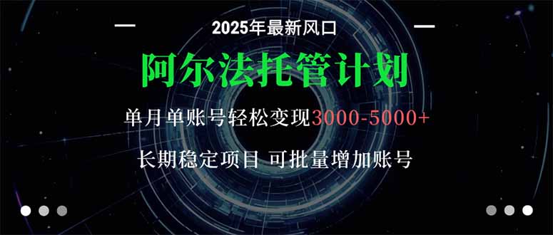 阿尔法托管计划 单账号月入3000-5000，长期稳定项目，新手小白轻松上手。-项目网