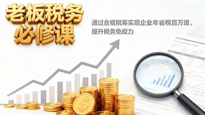 老板税务必修课，通过合规税筹实现企业年省税百万级，提升税务免疫力-项目网