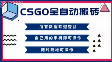 CSGO全自动搬砖，年底钱回家好项目，当天可拿到结果，新手小白轻松月入1W+【揭秘】-项目网