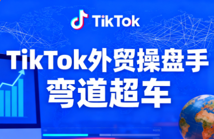 TikTok外贸操盘手(更新11月)-项目网