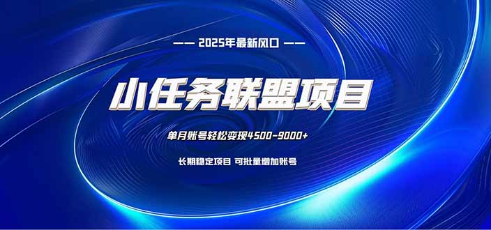 小任务联盟项目：一台电脑每天只需10分钟，轻松简单稳定-项目网