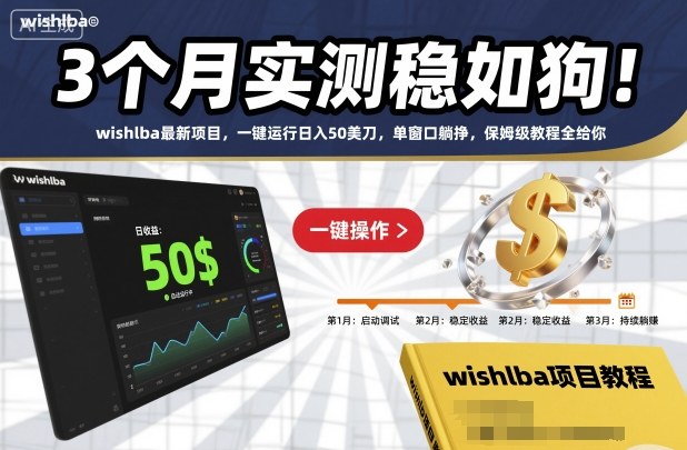 3个月实测稳如狗！wishlba最新项目，一键运行日入50美刀，单窗口躺挣，保姆级教程全给你【揭秘】-项目网