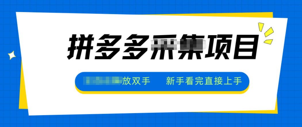 拼多多电商采集，一小时50+，操作简单，零投资-项目网
