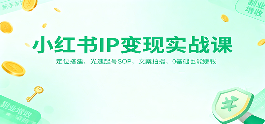 小红书IP变现实战课：定位搭建，光速起号SOP，文案拍摄，0基础也能赚钱-项目网