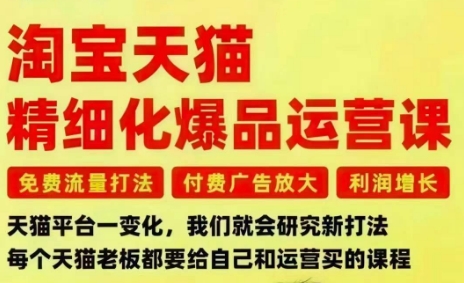 淘宝天猫精细化爆品运营课，免费流量打法-付费广告放大-利润增长-三大核心痛点，一次全部解决-项目网