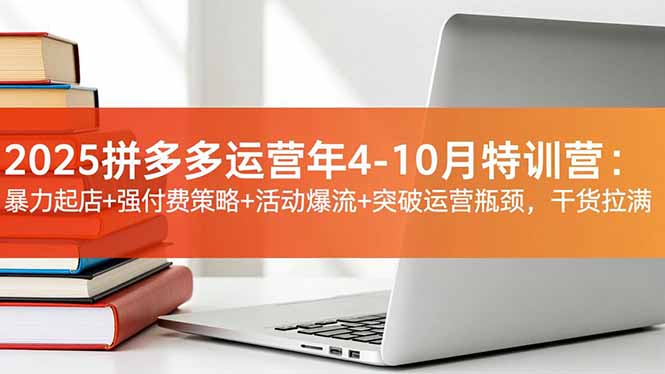 2025拼多多运营年4-10月特训营：暴力起店+强付费策略+活动爆流+突破运营瓶颈，干货拉满-项目网