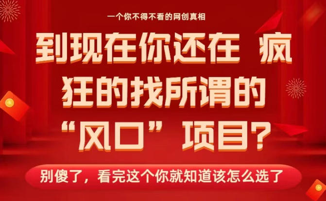 马上26年了，你还在找所谓的风口项目？别傻了，看完这个你全都懂了！【揭秘】-项目网