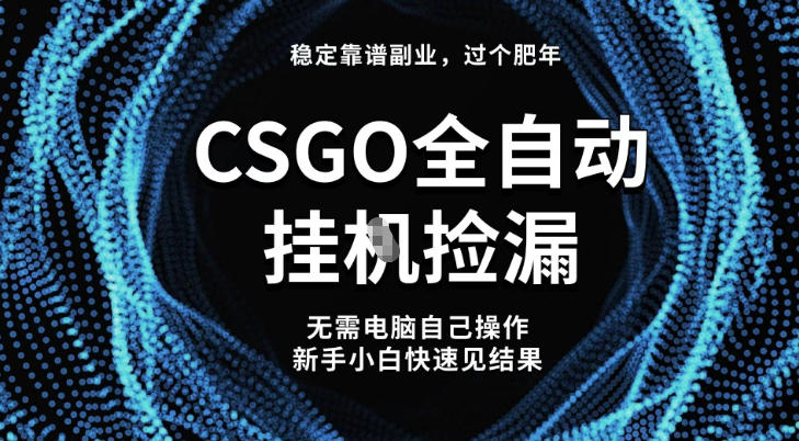 【稳定副业】全球最热门游戏CSGO全自动捡漏，最新玩法，新手小白日入5张+【揭秘】-项目网