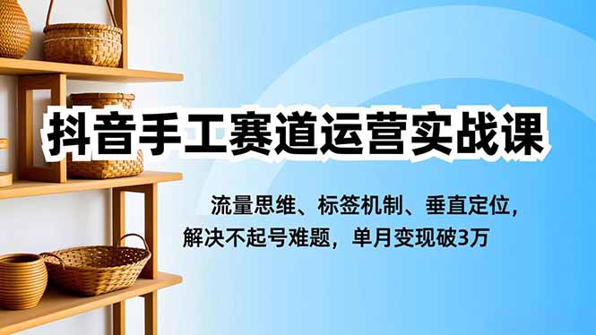 抖音手工赛道运营实战课，流量思维、标签机制、垂直定位，解决不起号难题，单月变现破3万-项目网