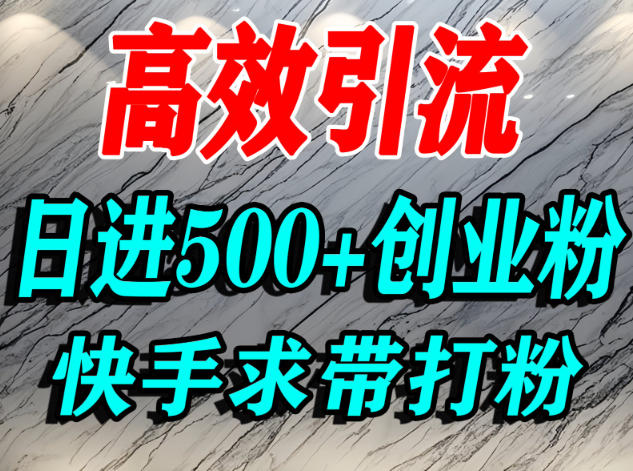 怎么打创业粉？快手求带视角精准引流创业粉，宝妈、学生群体日进500+精准流量-项目网