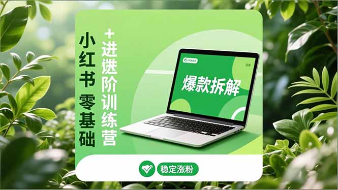 小红书零基础+高阶训练营：安全养号、爆款拆解、长效运营，实现稳定涨粉与变现-项目网