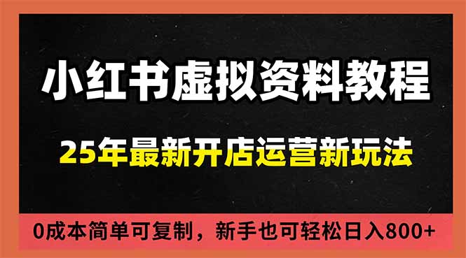 小红书虚拟资料项目：最新搜索流变现玩法，0成本简单可复制，一人多店打法，新手日入800+-项目网