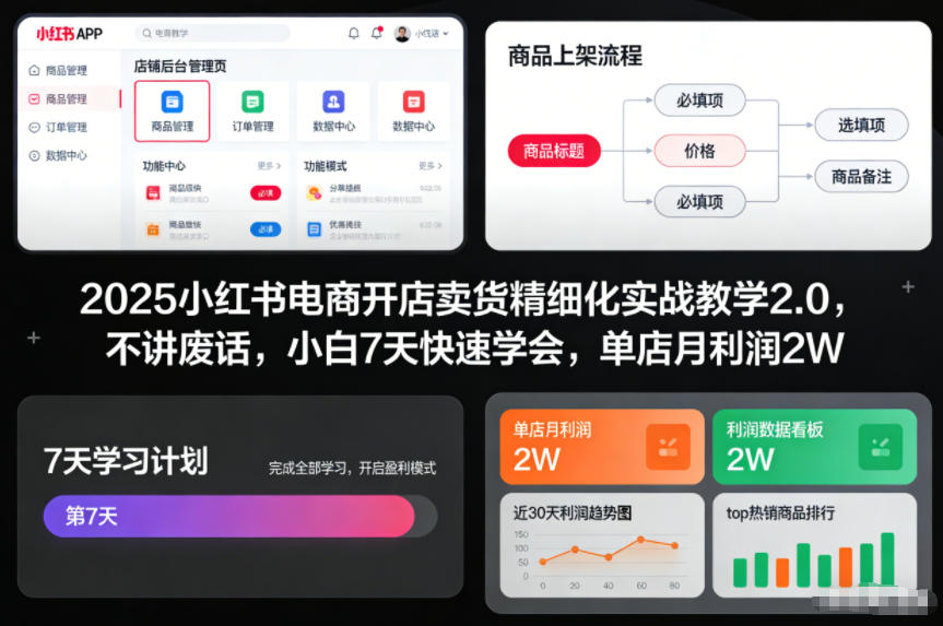 2025小红书电商开店卖货精细化实战教学2.0，不讲废话，小白7天快速学会，单店月利润2W-项目网