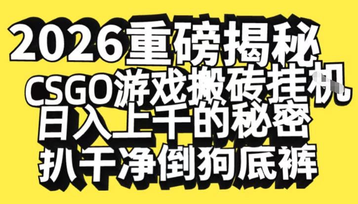 2026开年重磅解密，CSGO游戏搬砖挂G日入1k+的秘密，把倒狗的底裤扒干【揭秘】-项目网